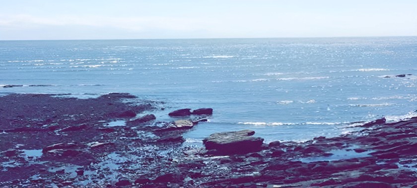 Arbroath Cliffs