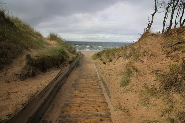 Roseisle Forest and the beach walkway