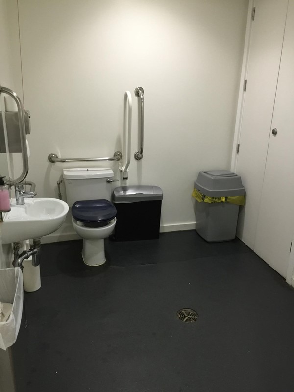 View 2 of accessible toilet