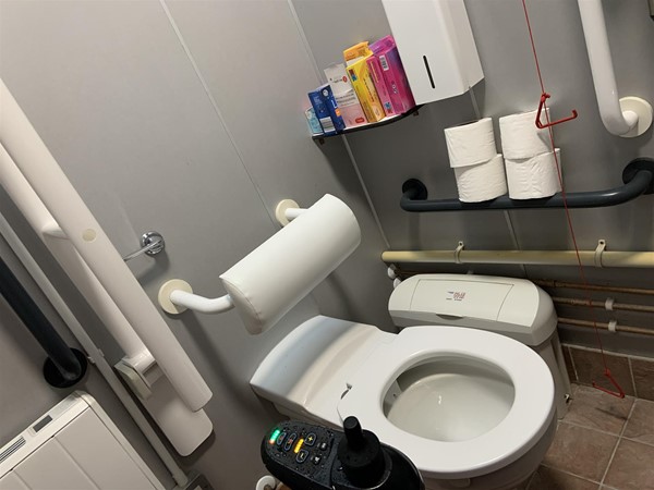 Image of an accessible toilet with a grabrail