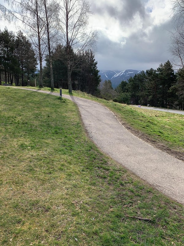 Picture of a path in a field