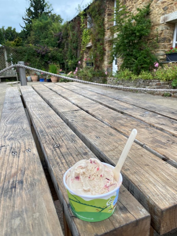 Image of a tub of ice-cream on an outdoor table.