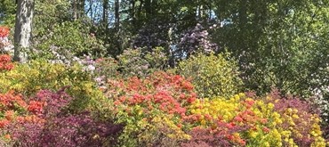 Hoveton Hall Gardens