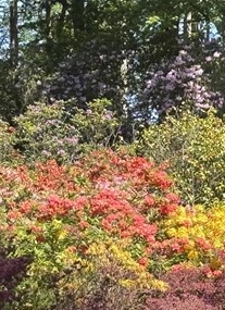 Hoveton Hall Gardens
