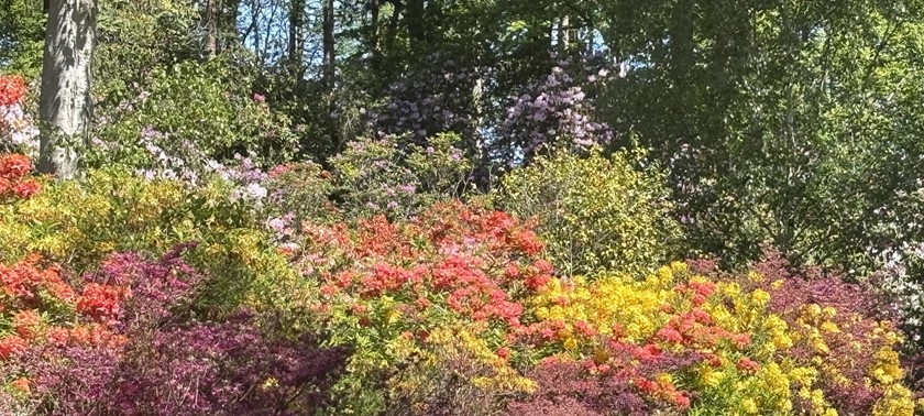 Hoveton Hall Gardens