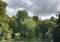 River and trees