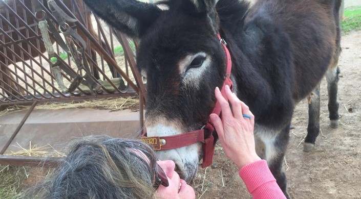 Refúgio dos Burros