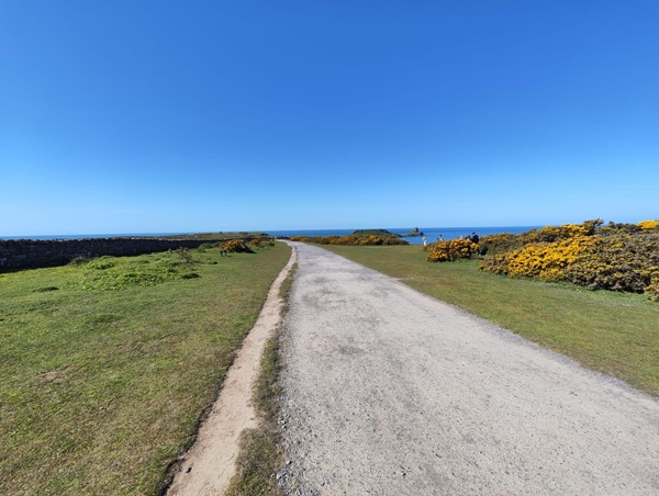 Image of Worms Head, Swansea
