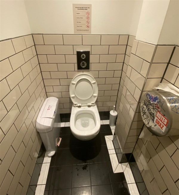 Image of a toilet