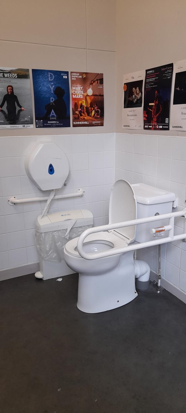 Accessible toilet