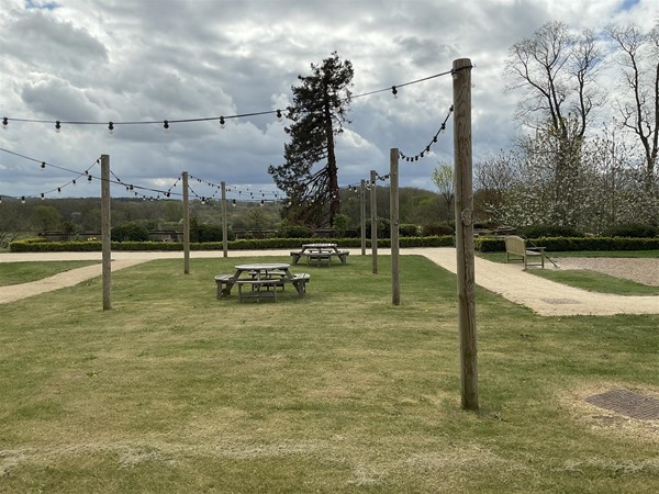 Image of a lawn