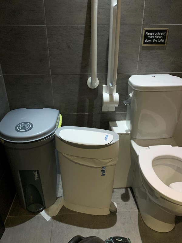 View of bins next to toilet