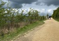 Going anti-clockwise from the Visitors' Centre, the path starts off wide, level and well-surfaced.