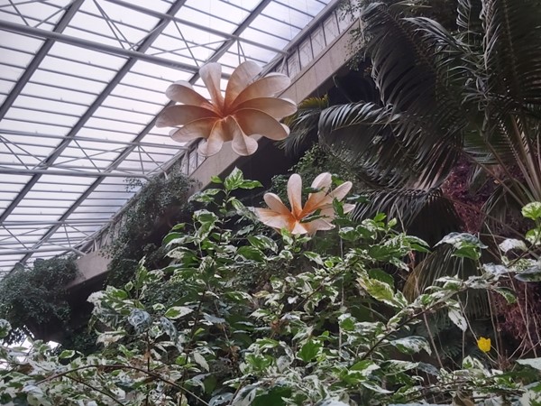 Image of the Barbican Conservatory