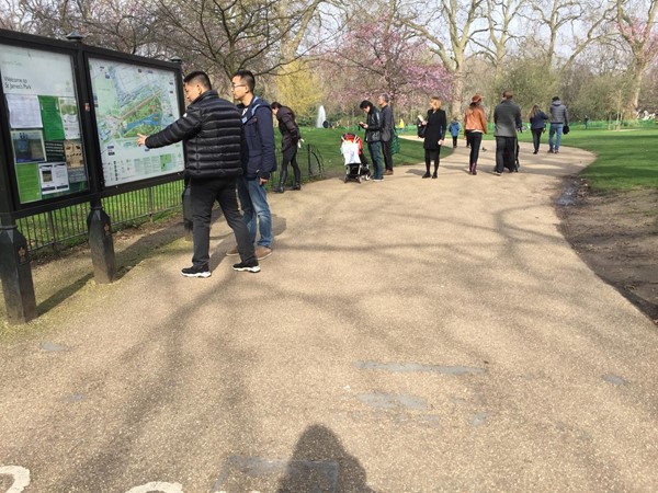 Paths at St James Park
