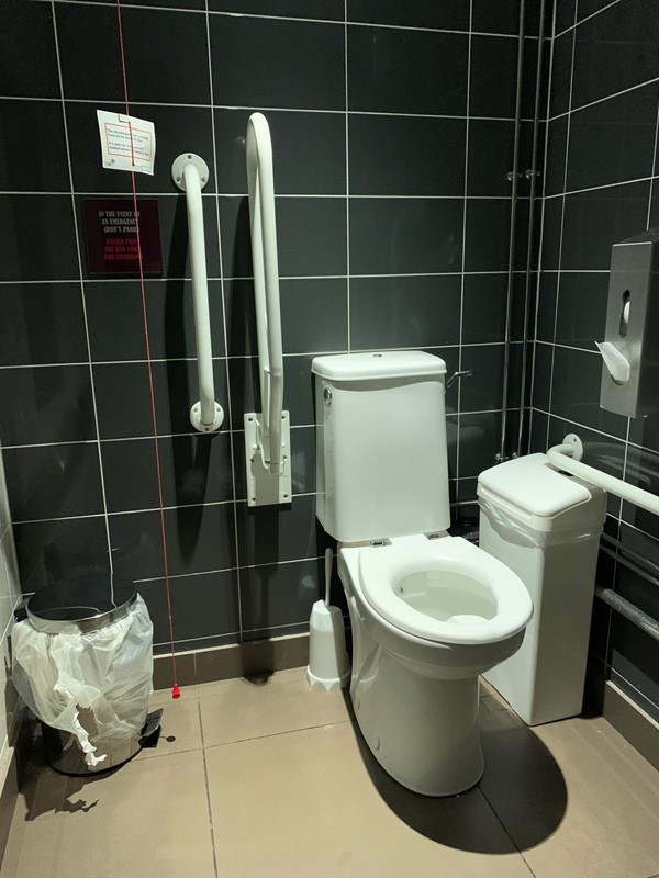 View of toilet from door showing red cord, handrails, bins and toilet roll dispenser