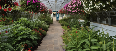 Duthie Park