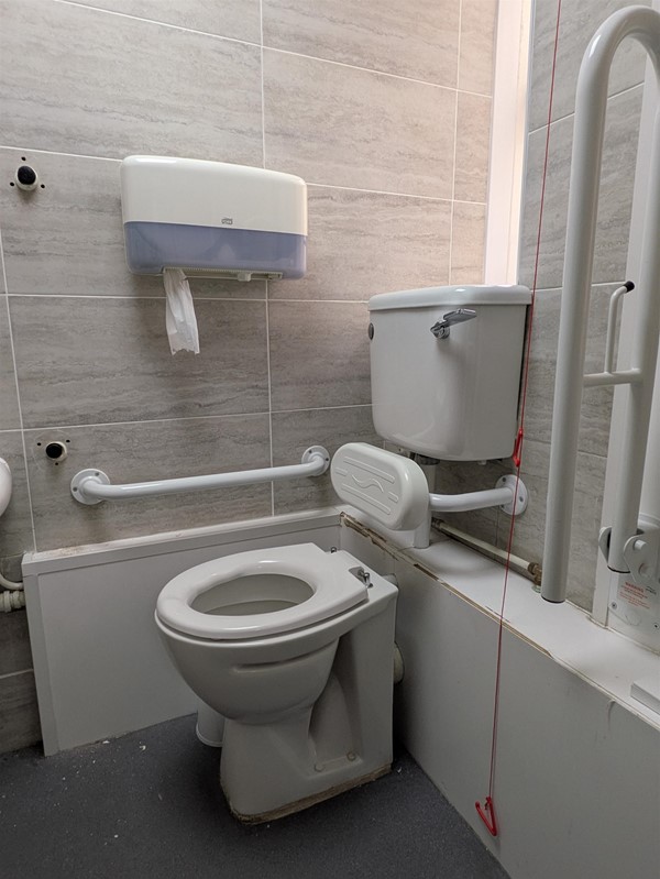 Image of toilet seat in the accessible toilet