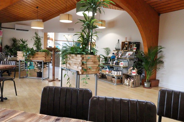 Inside the cafe looking back towards the entrance, which is light and bright with a wooden floor.