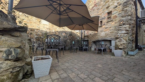 The dog friendly outside area.