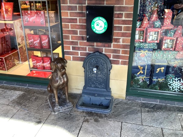 Drinking fountain for dogs
