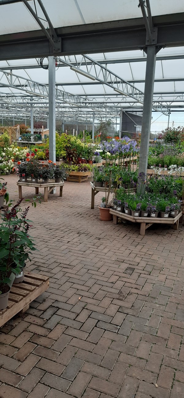 Dunbar Garden Centre