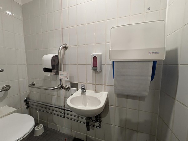 Image of sink in the accessible toilet