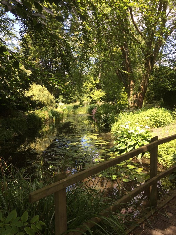 Bridge over the water