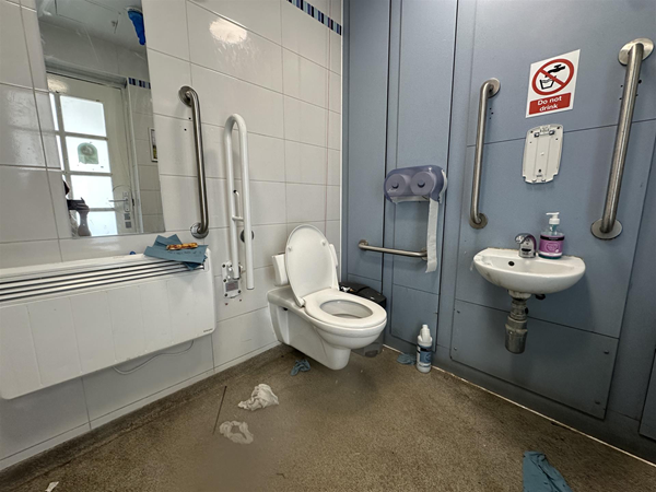 Image of accessible toilet