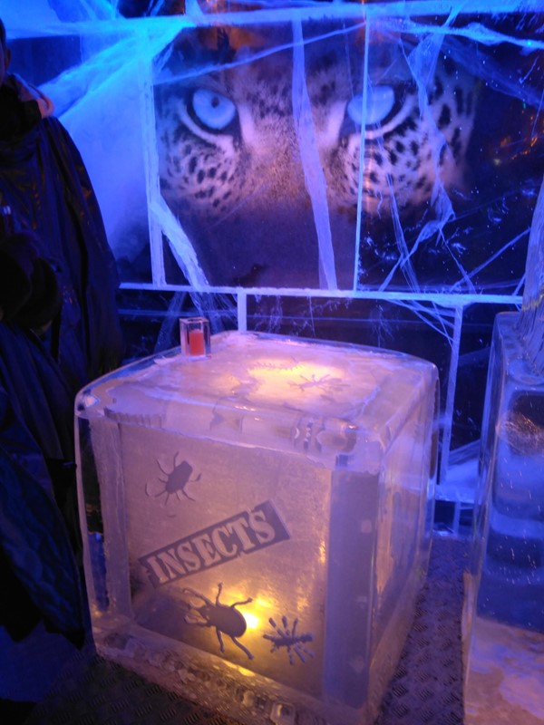 Icebar London