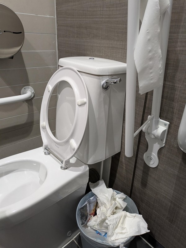 Image of bin in accessible toilet
