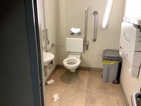 (7) disabled toilet