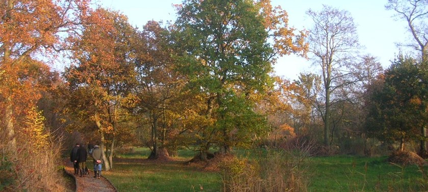 Askham Bog Nature Reserve