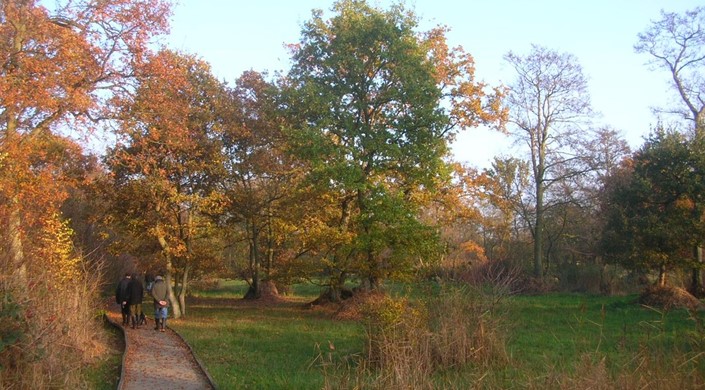 Askham Bog Nature Reserve