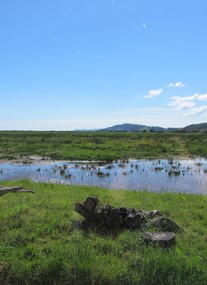 RSPB Mersehead