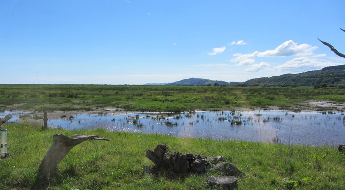 RSPB Mersehead