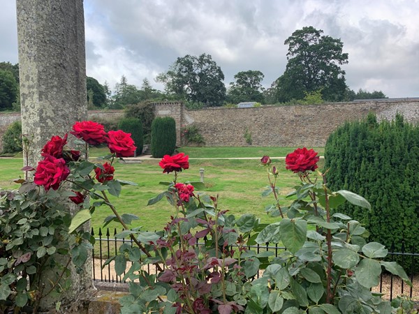 Part of the walled gardens with roses in the foreground
