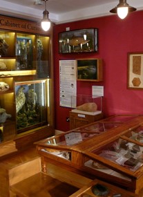 Hertford Museum