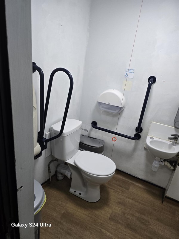 Image of an accessible toilet with grab rails