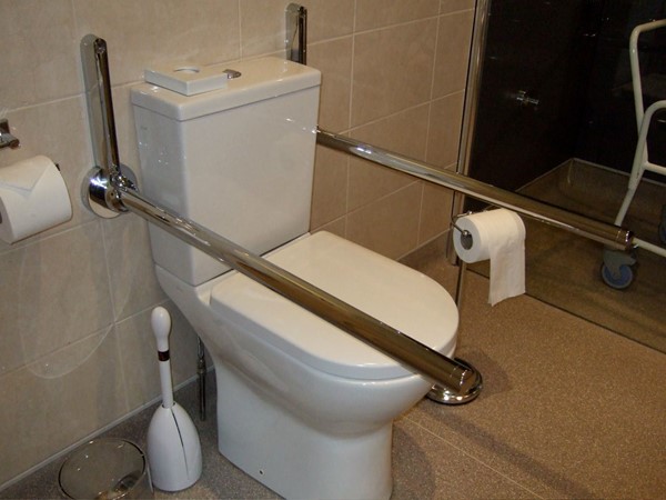 Note Devon rails that can be raised or lowered and taller than average loo.
