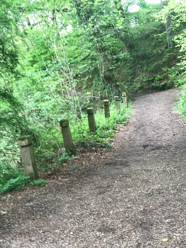 one of the rougher paths