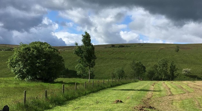 Brown Rigg Lodges