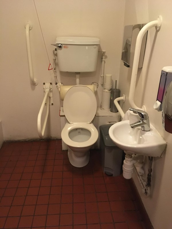 Accessible loo