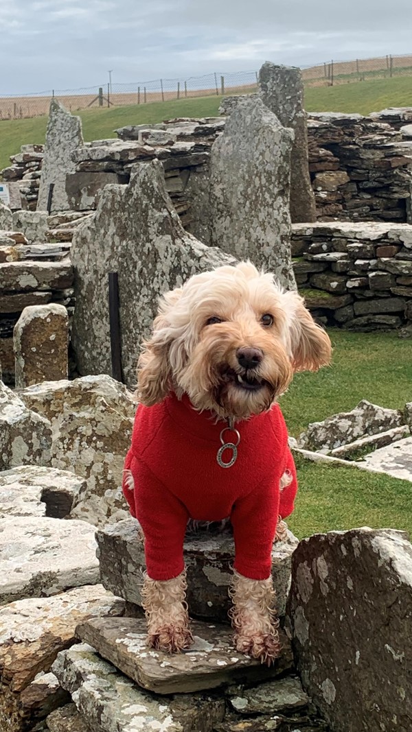 Broch of Gurness