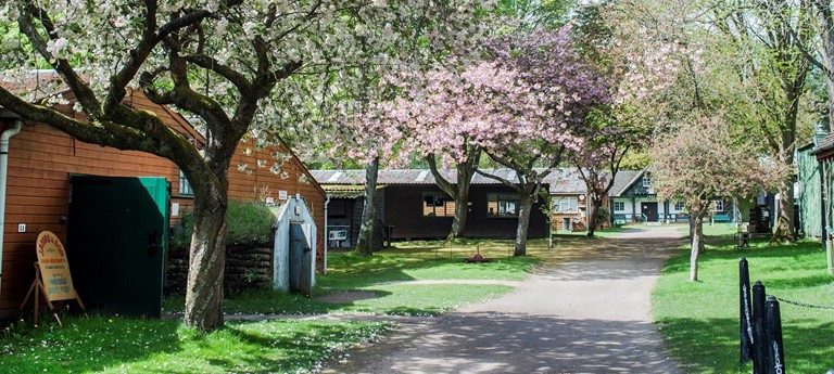 Rural Life Centre