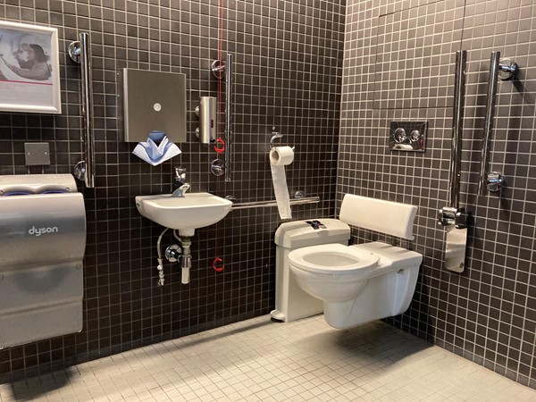 Normal Accessible toilet