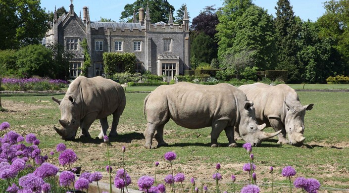 Cotswold Wildlife Park and Gardens