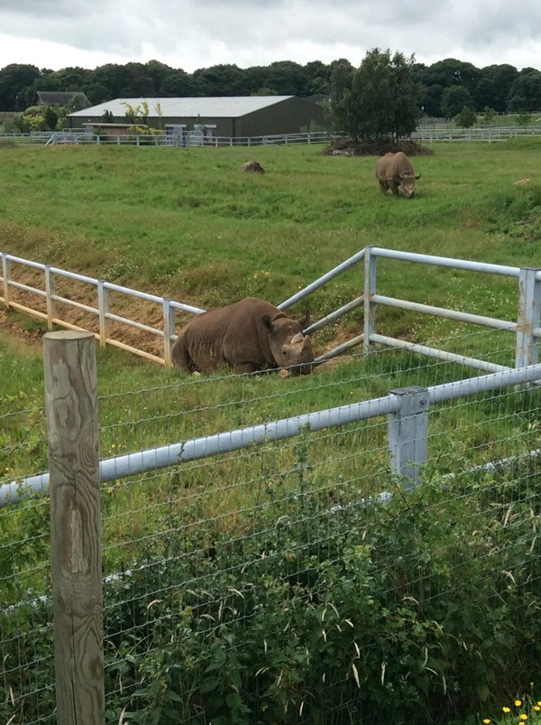 Picture of Yorkshire Wildlife Park