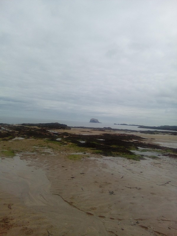 Picture of the beach