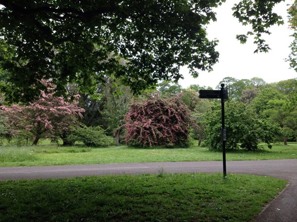 Picture of Bute Park in Cardiff.